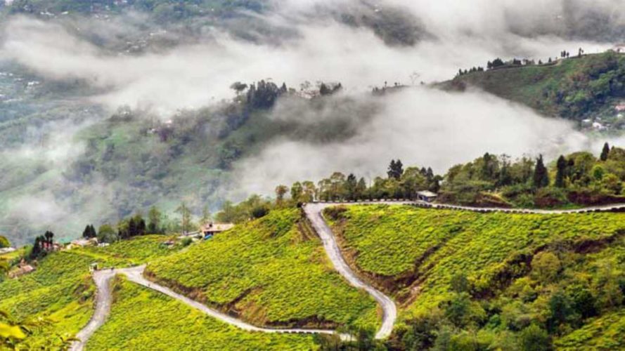 Embrace the Unspoiled Natural Beauty of Splendorous Darjeeling