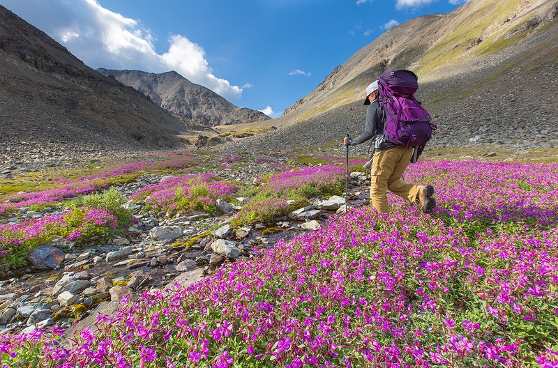Valley of Flowers Trek: Beginners Guide