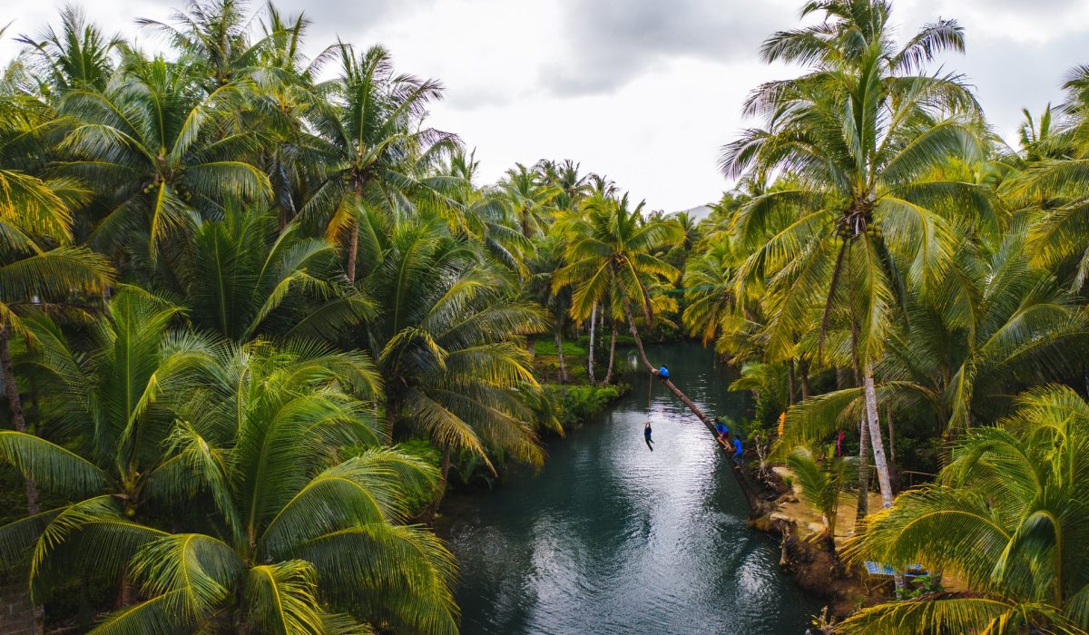 Famous instagrammed leaning palm tree at Maasin River in Siargao, Philippines - People having fun swinging on a coconut tree in the jungle
